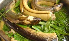 Món ăn giúp nhuận sắc, kéo dài tuổi thọ